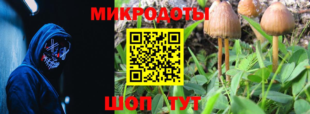 Галлюциногенные грибы мухоморы Урай
